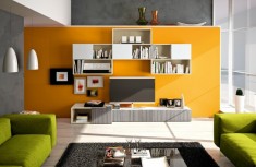 Storage cupboards in living room inspiration