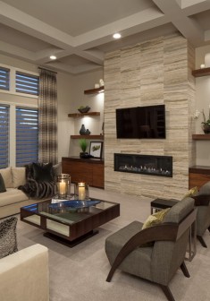 Client House Contemporary Living room